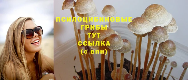 мяу мяу мука Козельск